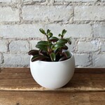 Luna pot (fits 3.5") Off-White