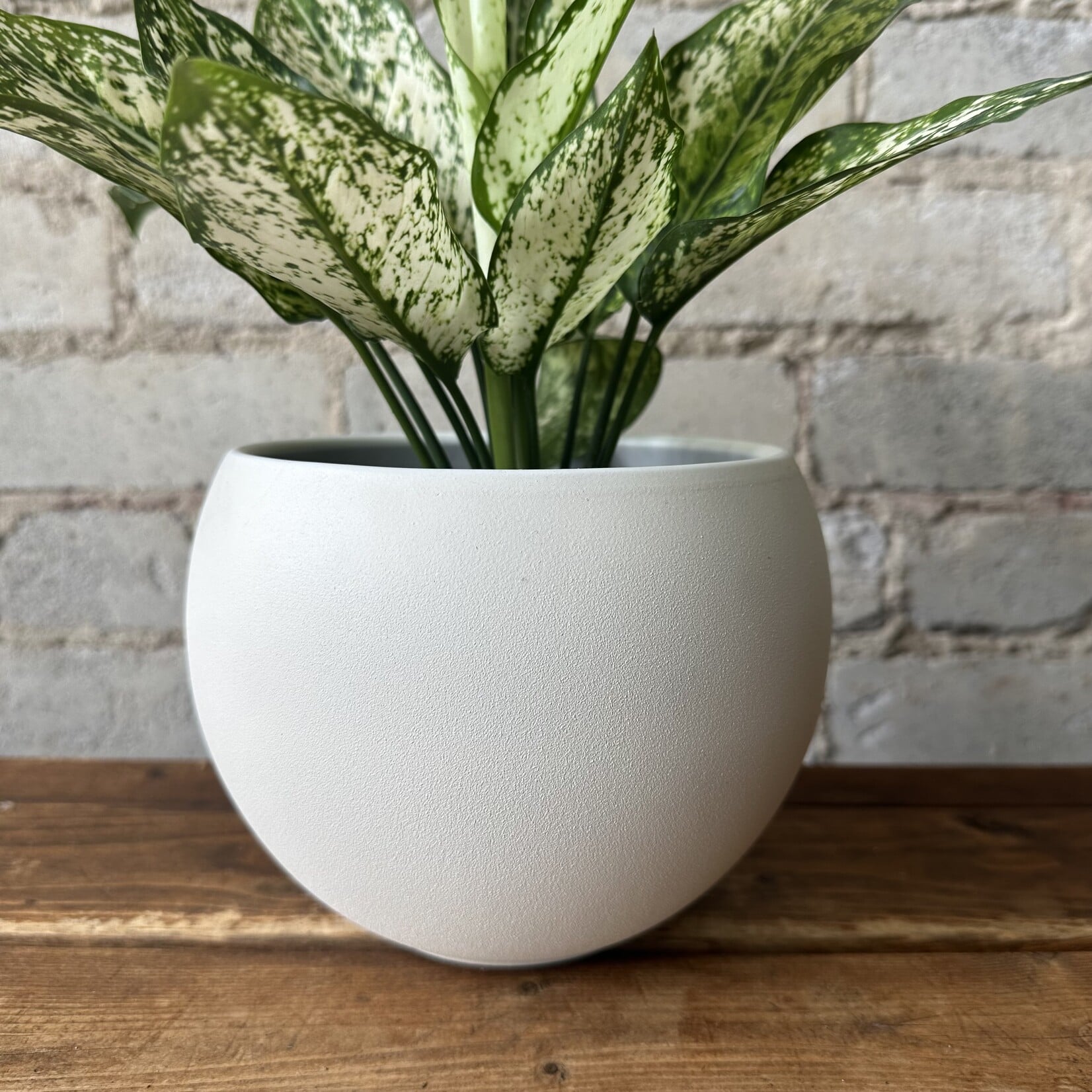 Luna pot (fits 3.5") Off-White