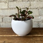 Luna pot (fits 3.5") White