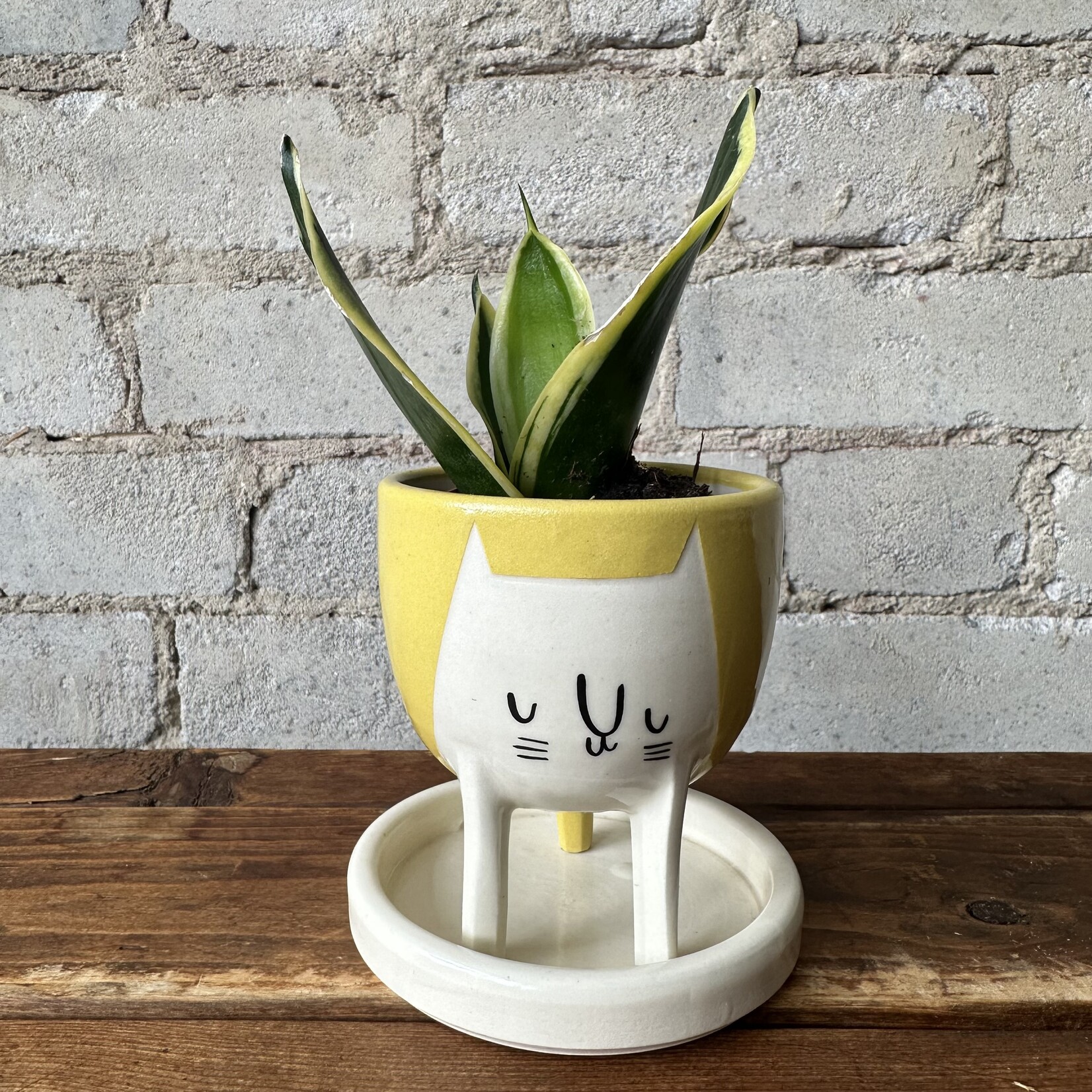 BeardBangs BeardBangs Cat Planter (Yellow)