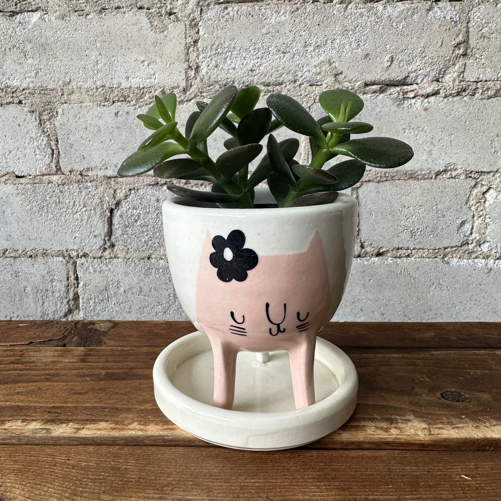 BeardBangs BeardBangs Cat Planter (Pink)