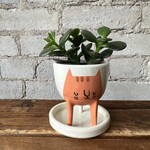 BeardBangs BeardBangs Cat Planter (Orange)