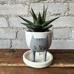 BeardBangs BeardBangs Cat Planter (Grey)