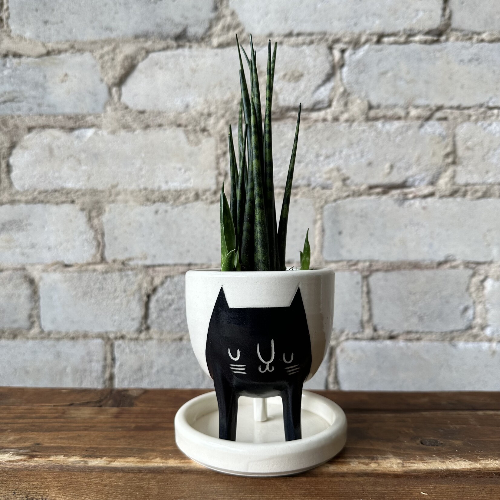 BeardBangs BeardBangs Cat Planter (Black)