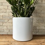 Era Pot (Fits 12") White Gloss