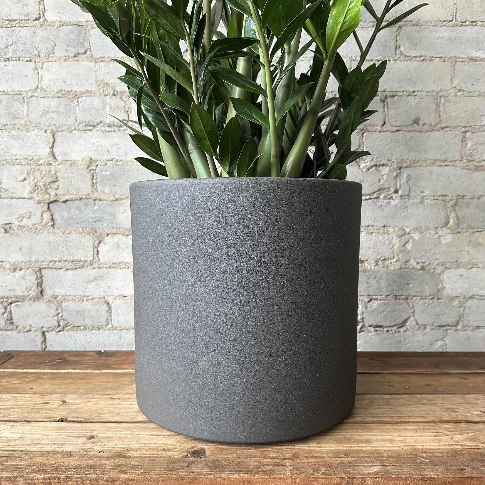 Era Pot (Fits 12") Charcoal