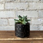 Universe Pot (fits 2.5")
