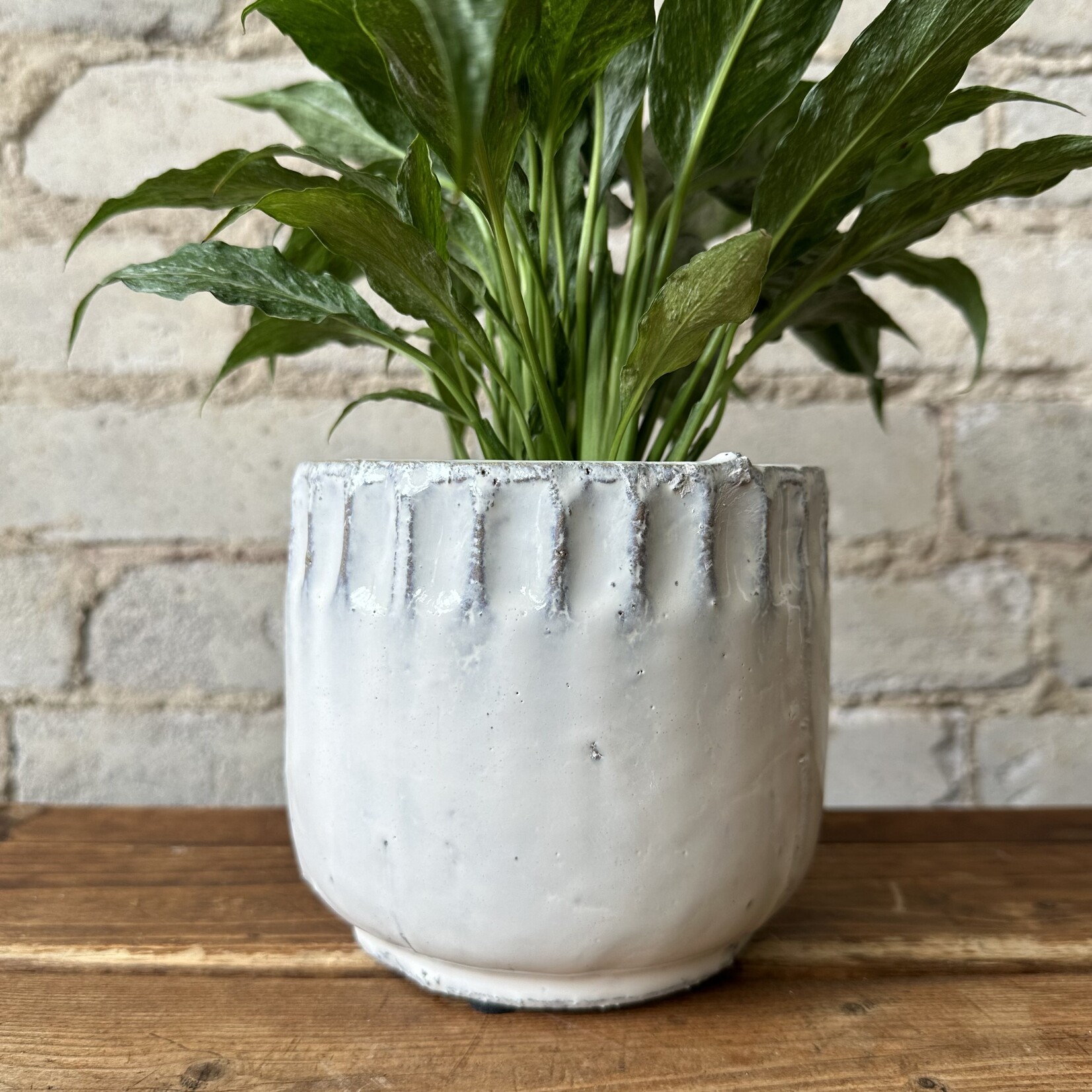 Kanab Pot (fits 4”)