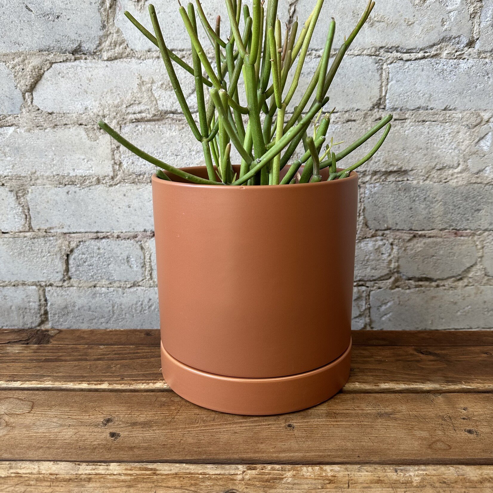 Romey Pot Terracotta (fits 6")