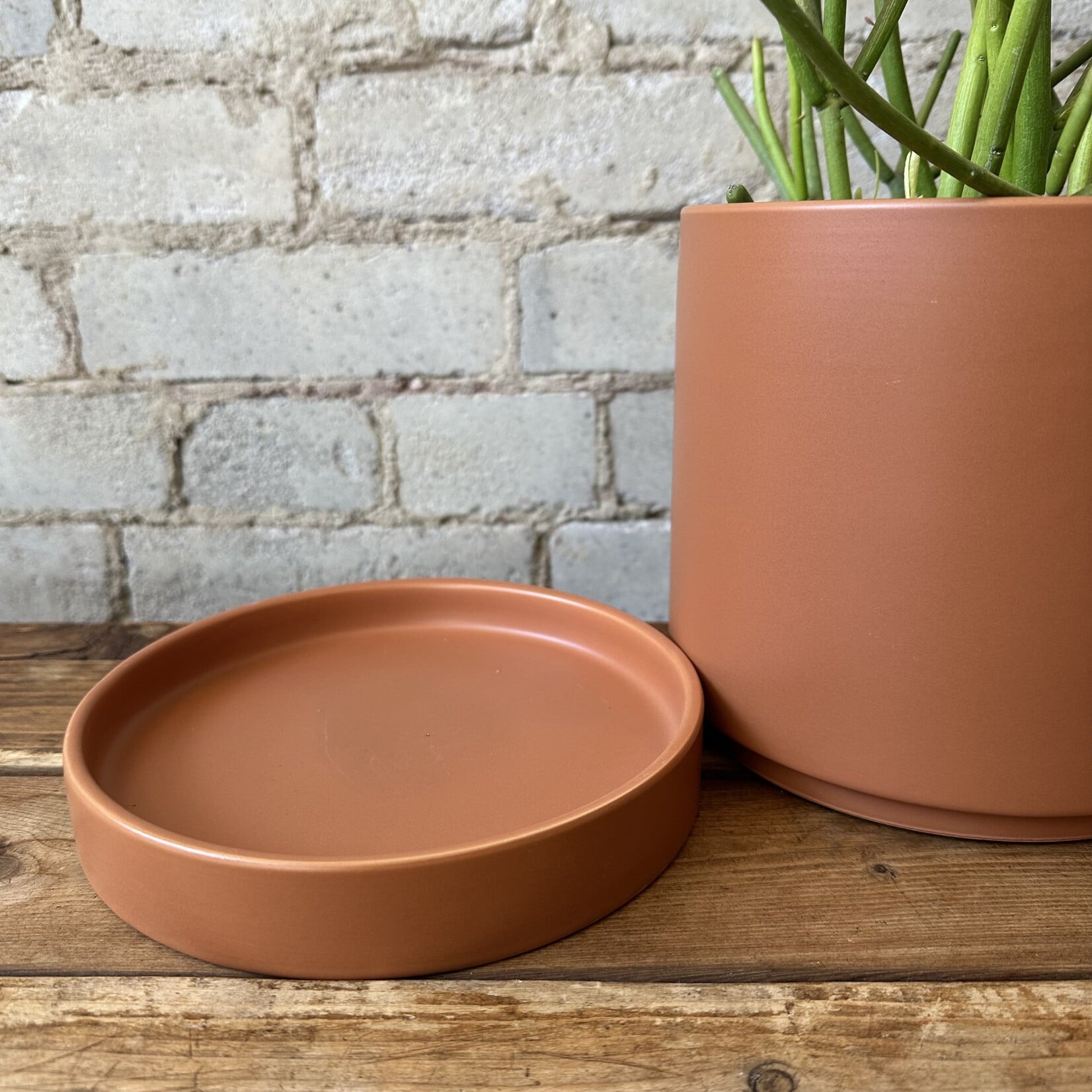 Romey Pot Terracotta (fits 6")