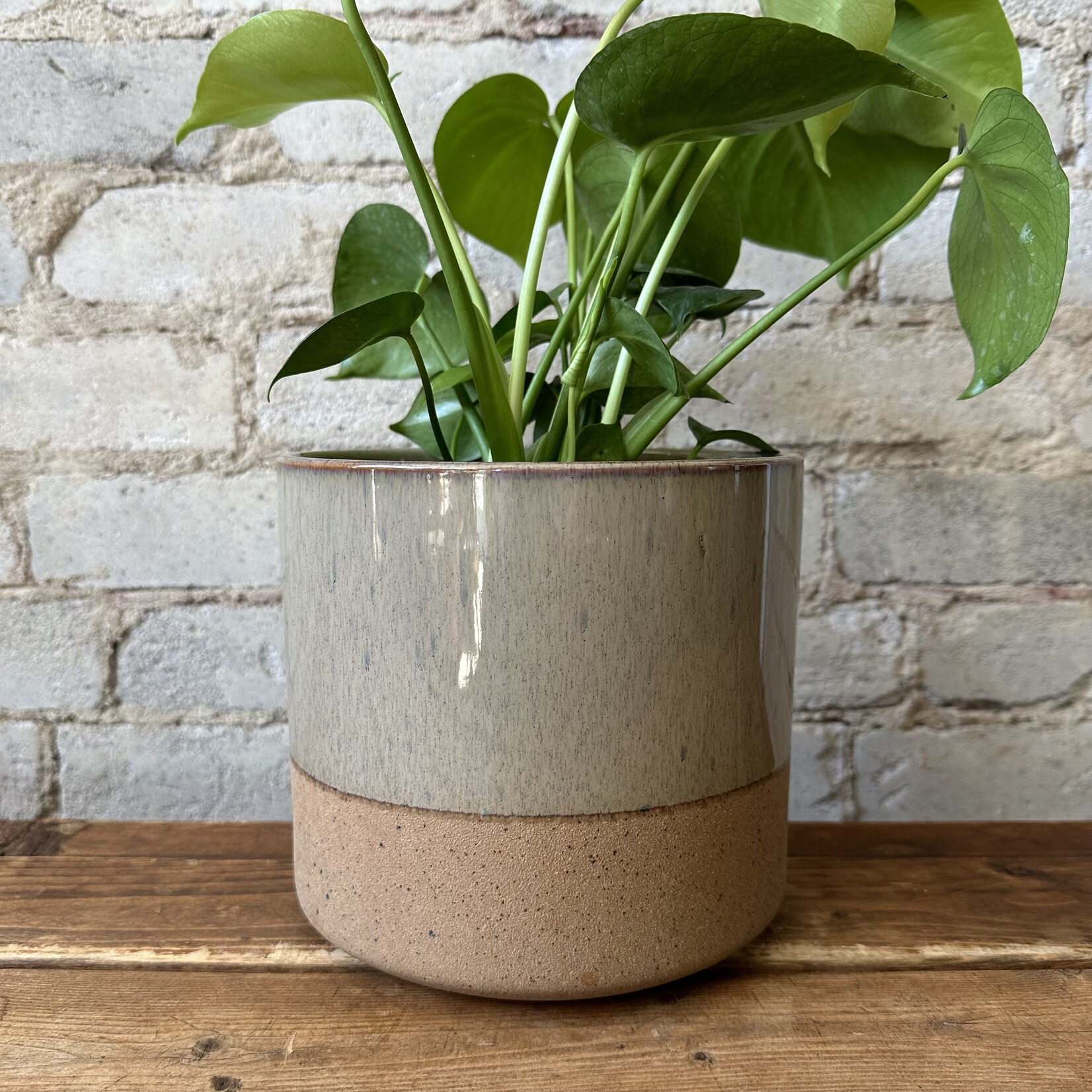 Lago Pot Green (fits 6")