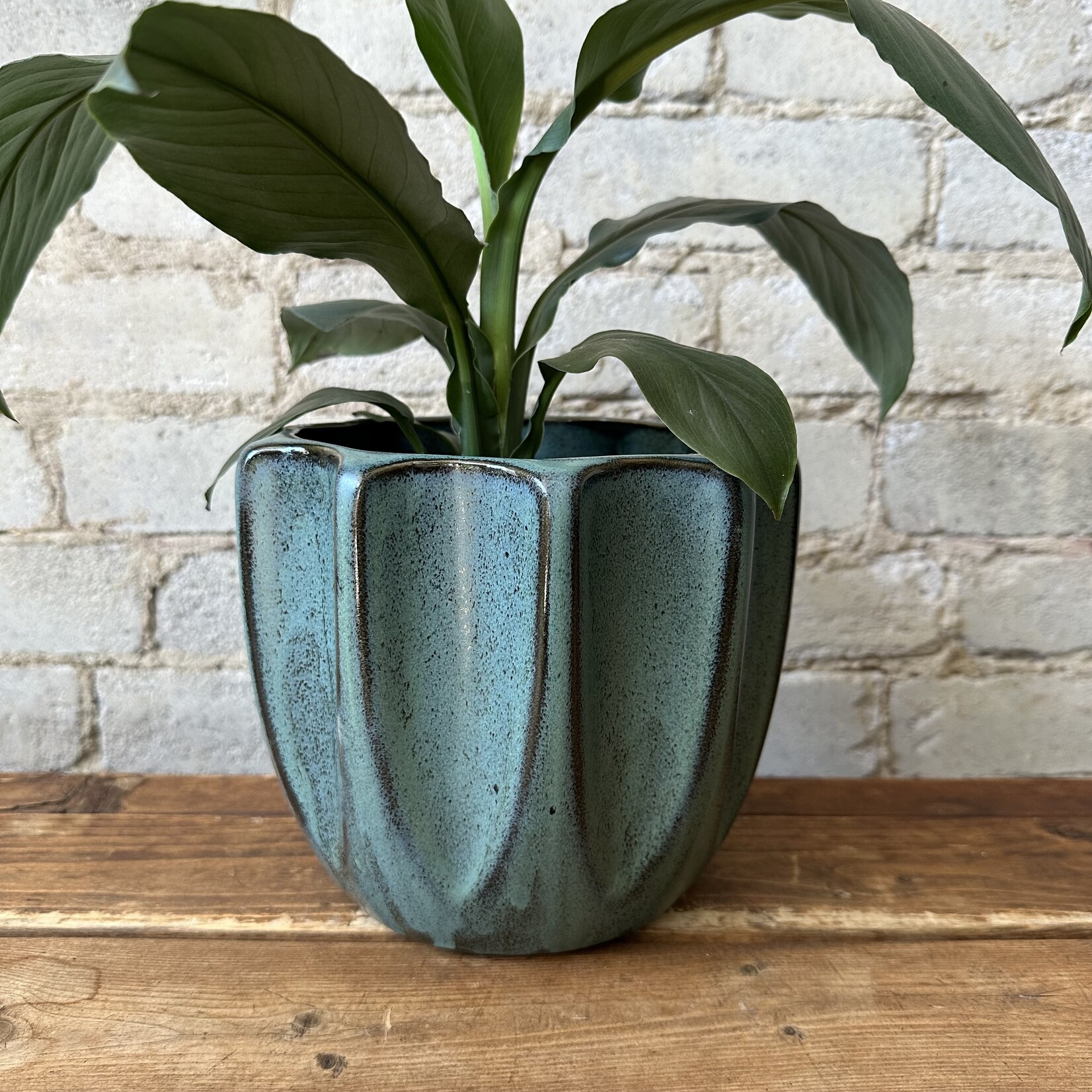 Beaumont Pot Green (fits 6")