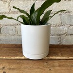 Romey Pot White (fits 4")