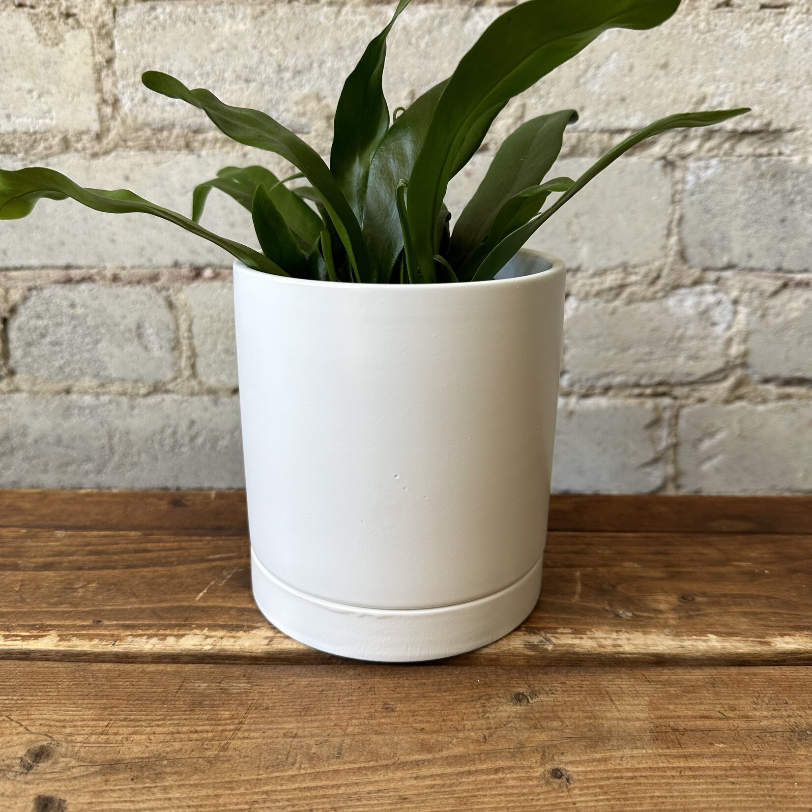 Romey Pot White (fits 4")
