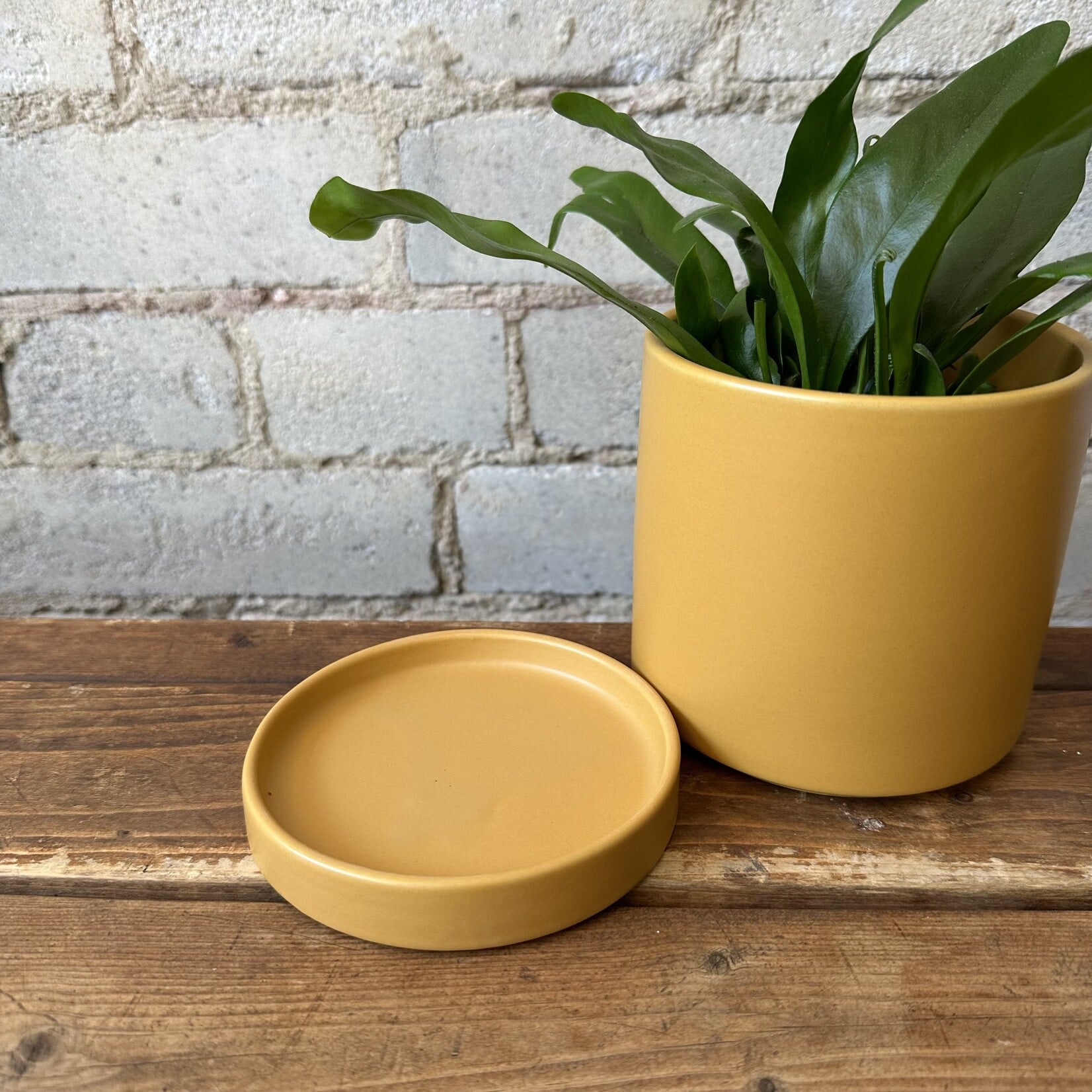 Romey Pot Yellow (fits 4")