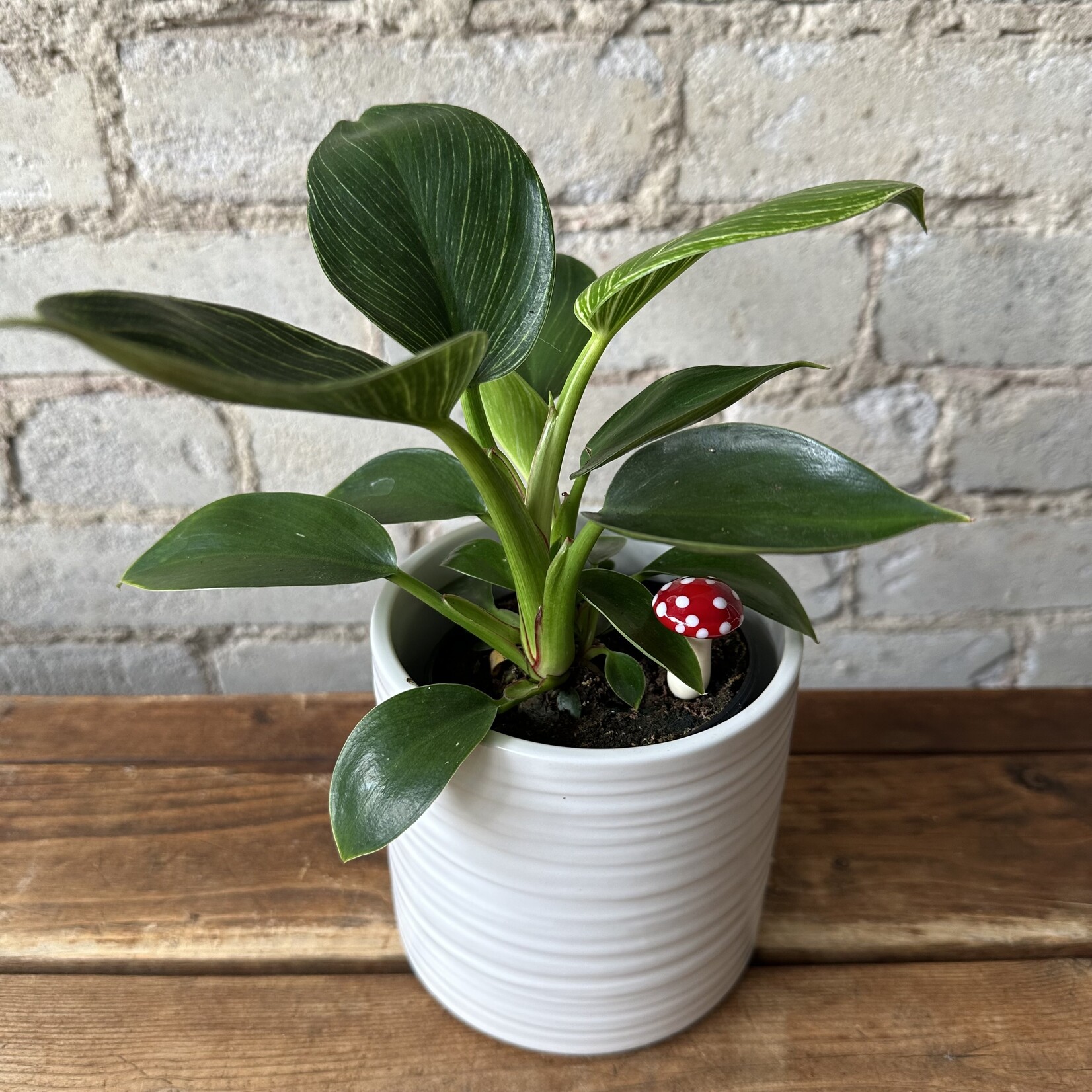 Glass mushroom: Red polka dot