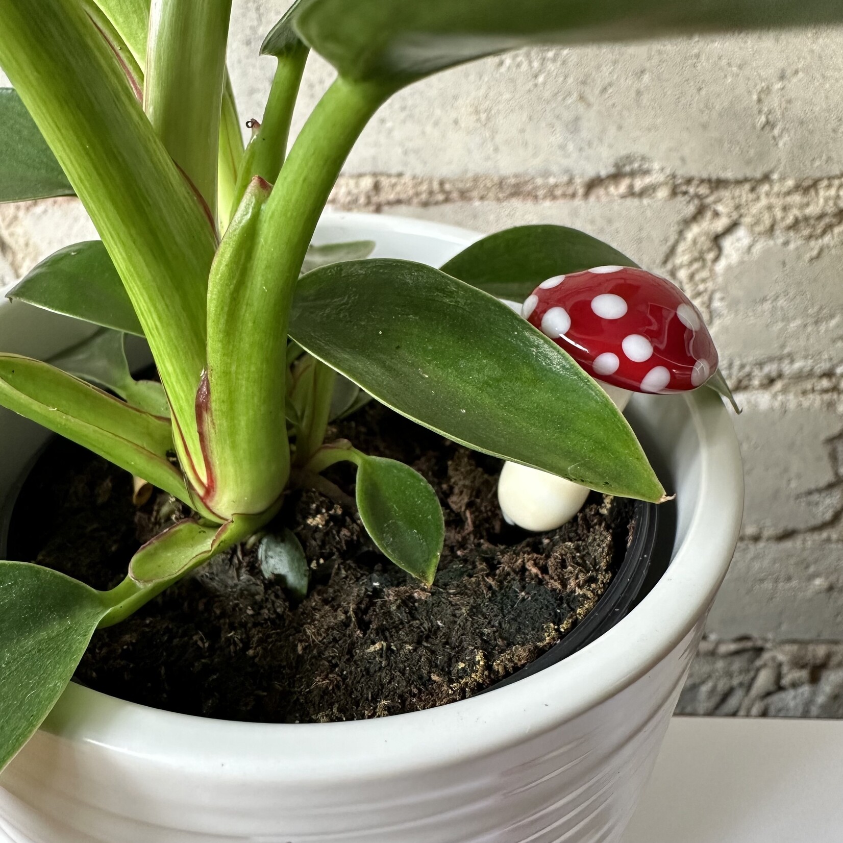 Glass mushroom: Red polka dot