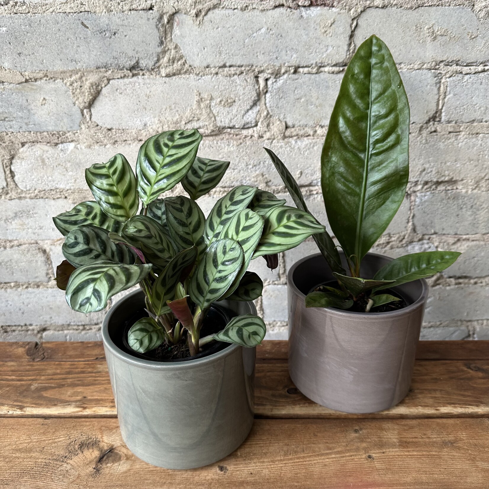 Assorted Pots Pillar Pot (fits 5") Grey Glazed