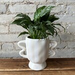 Akimbo Pot Cream (fits 4")