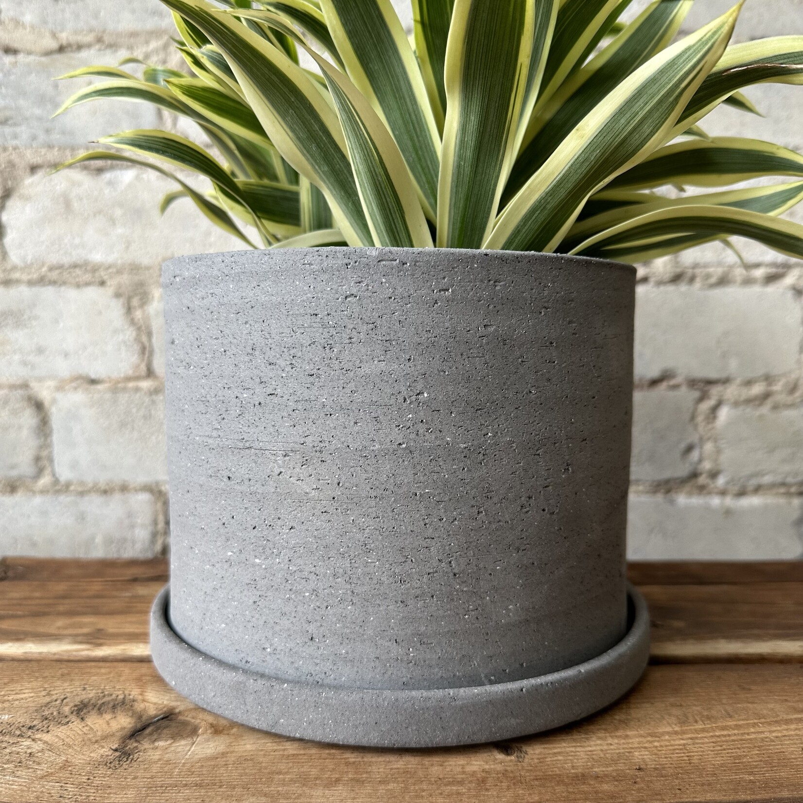 Ellis Pot (fits 6")