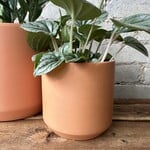Kendall fits 4" Terracotta