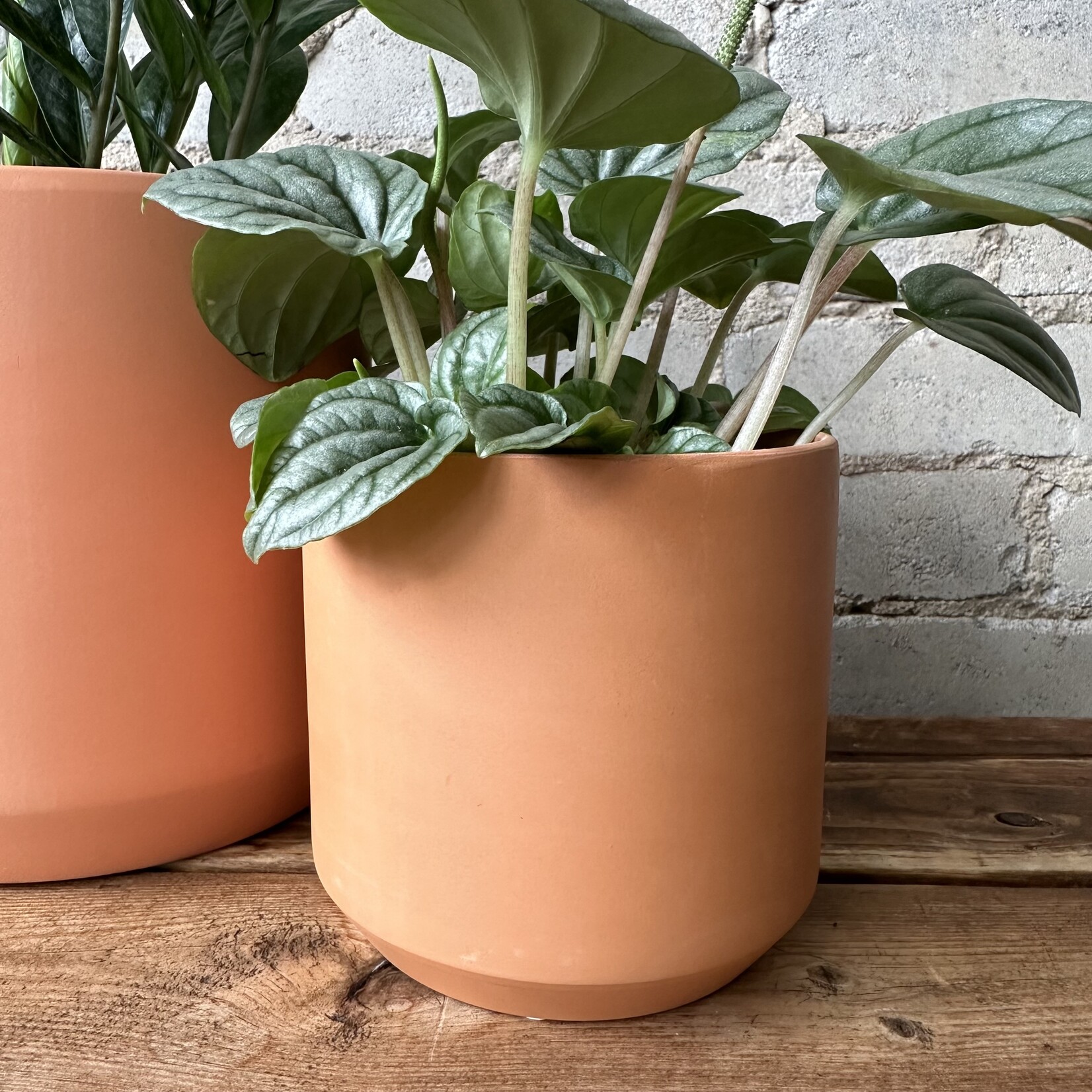 Kendall fits 4" Terracotta