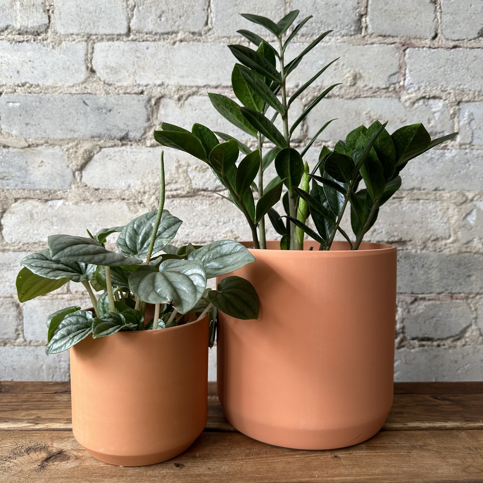 Kendall fits 4" Terracotta