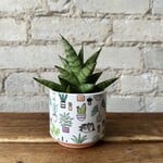 Assorted Pots Plant Icon Pot (fits 2.5")