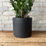 Atlas Pot (Fits 8") Black