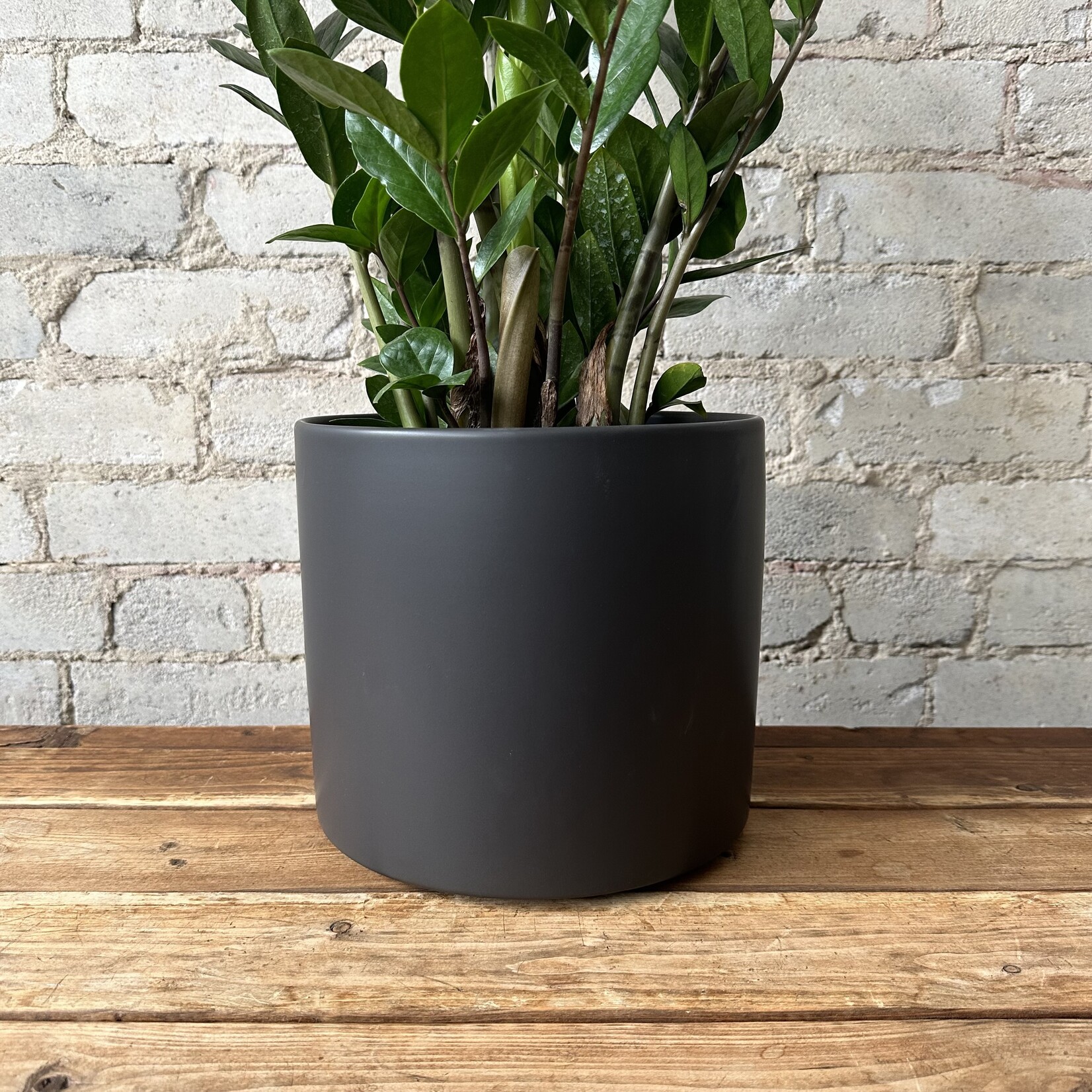 Atlas Pot (Fits 8") Black