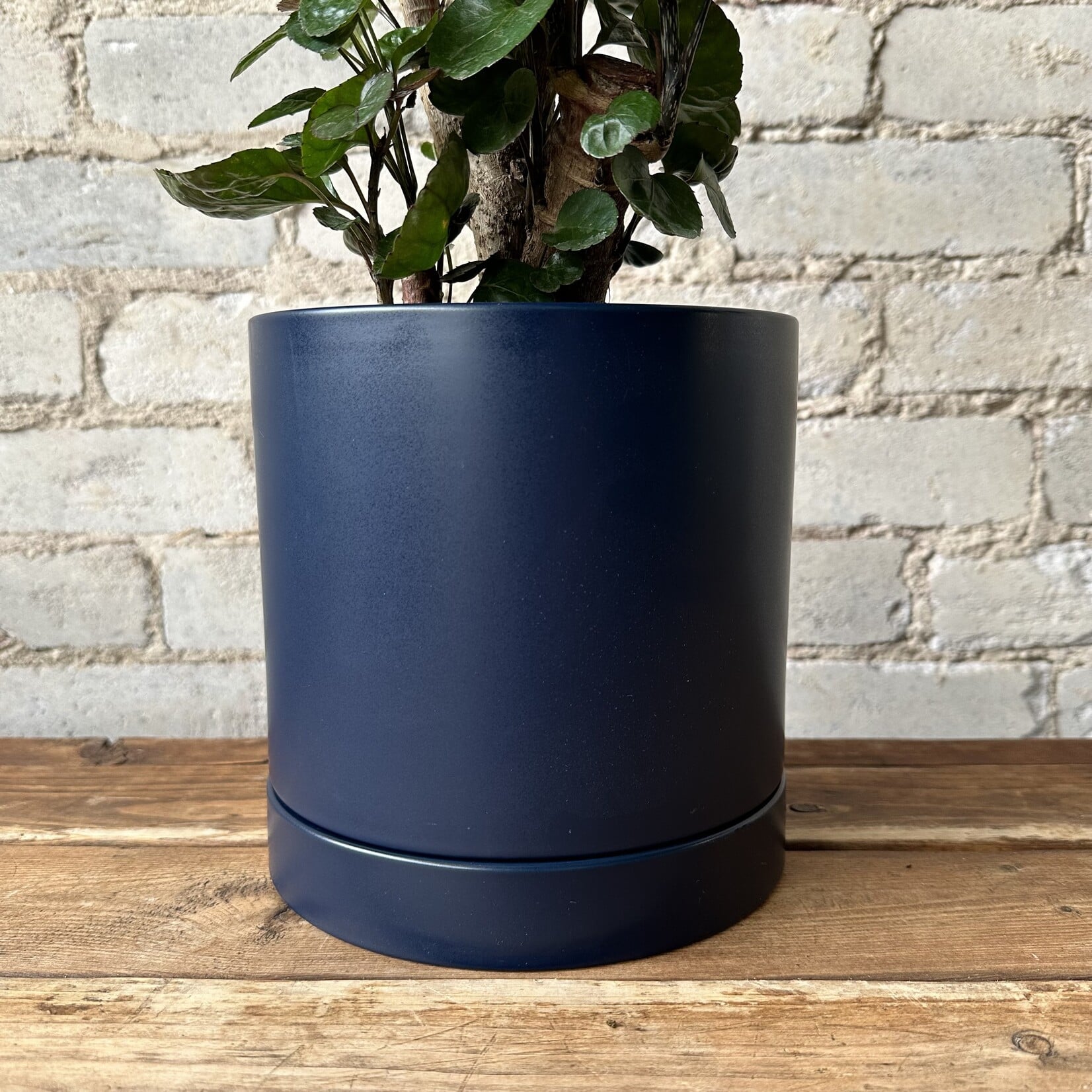 Romey Pot Navy (fits 6")