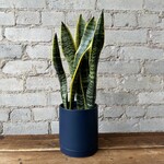 Assorted Pots Romey Pot Navy (fits 5")