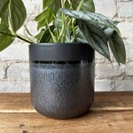 Assorted Pots Lennon Pot (fits 4.5")