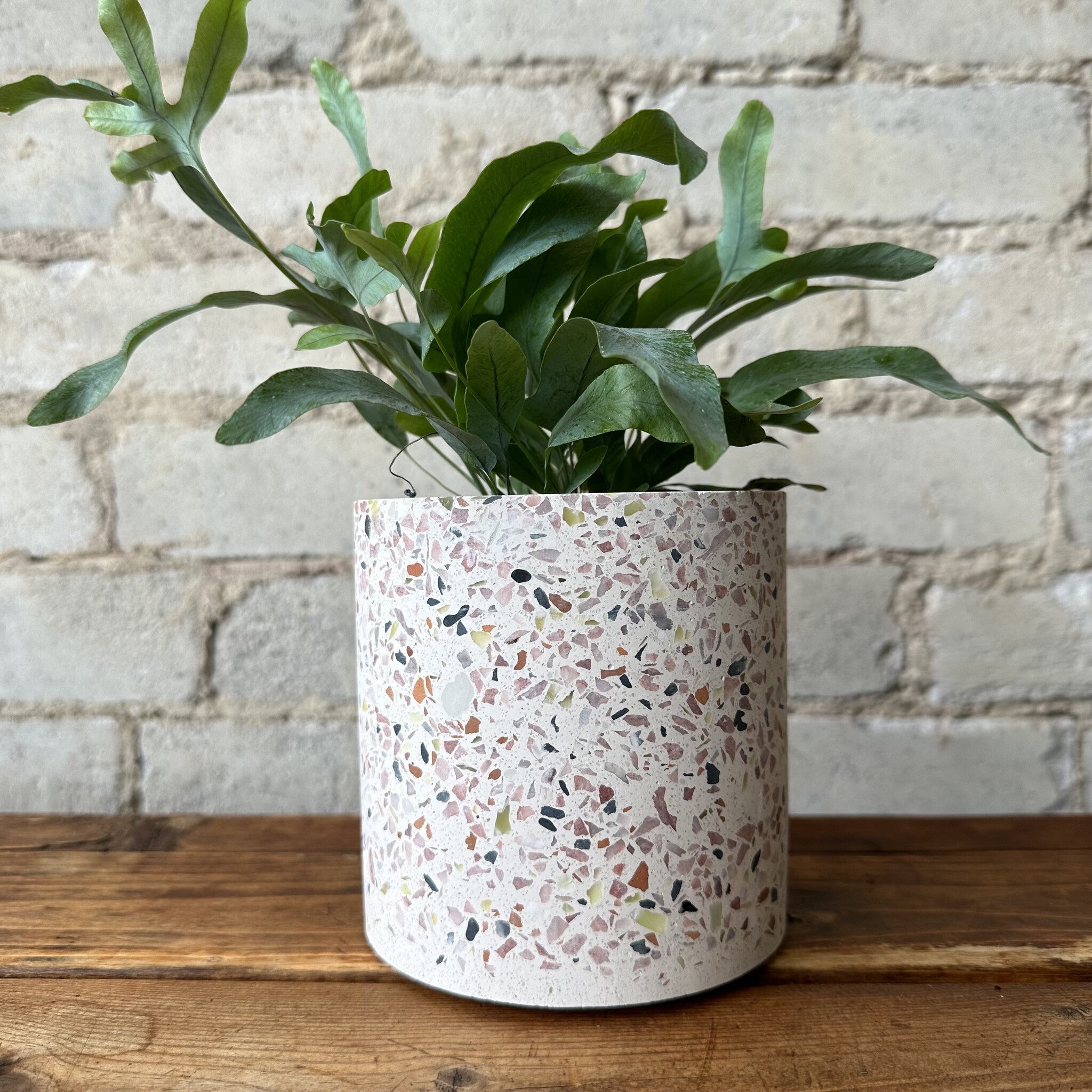 Terrazzo Pot 4