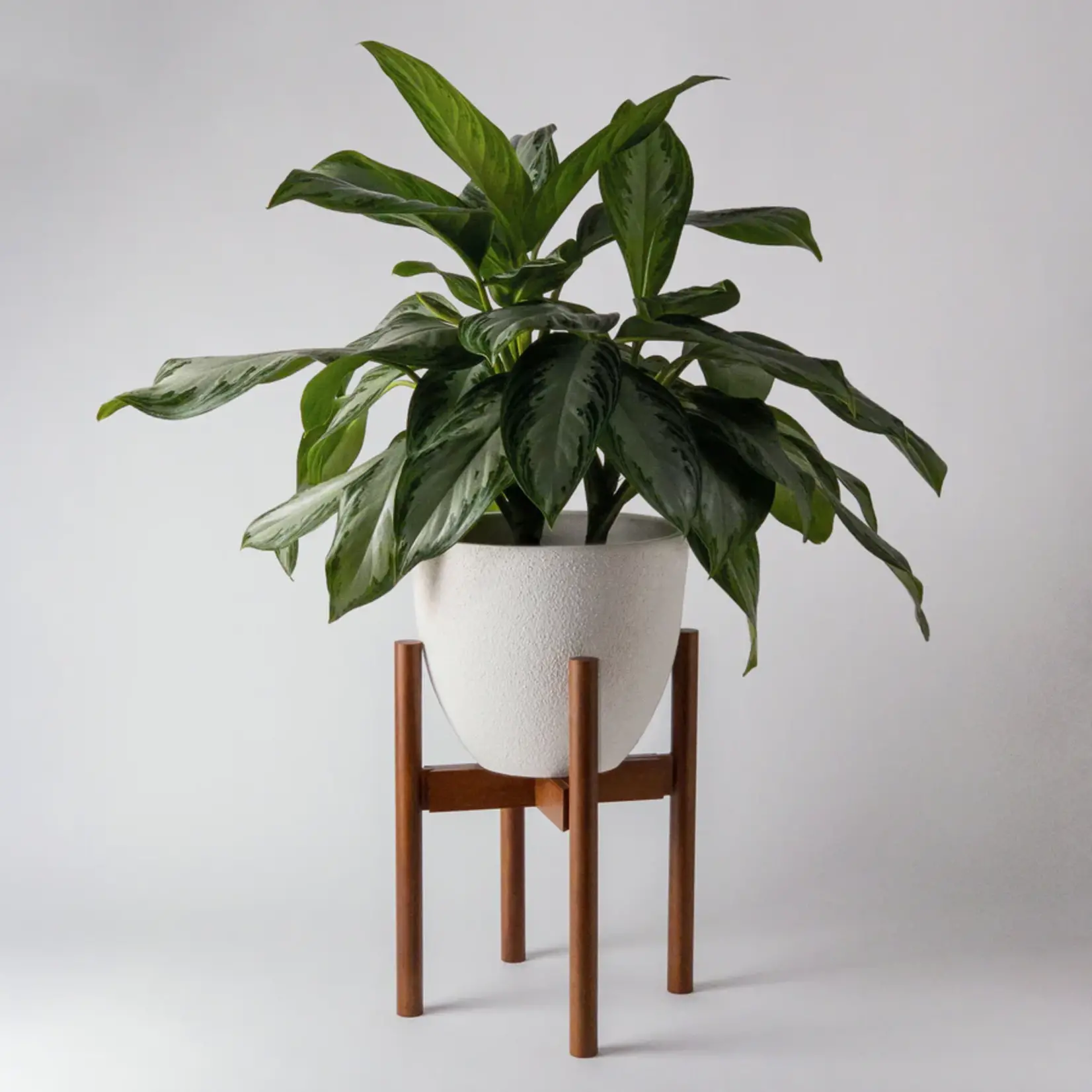 Adjustable Bamboo Plant Stand by Kanso (Dark)