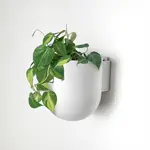 Wall-mounted Upcycled Pot (Kanso Designs)