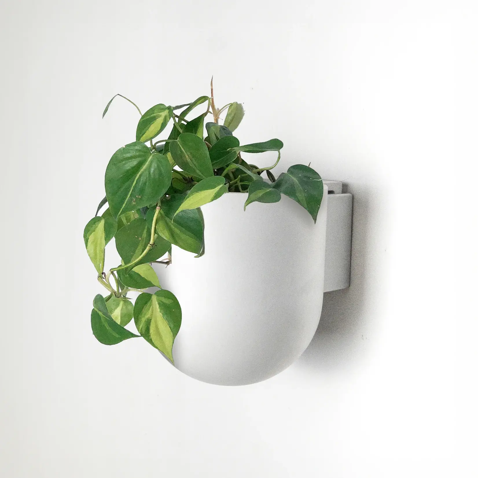 Kanso Designs Wall-mounted Upcycled Pot (Kanso Designs)