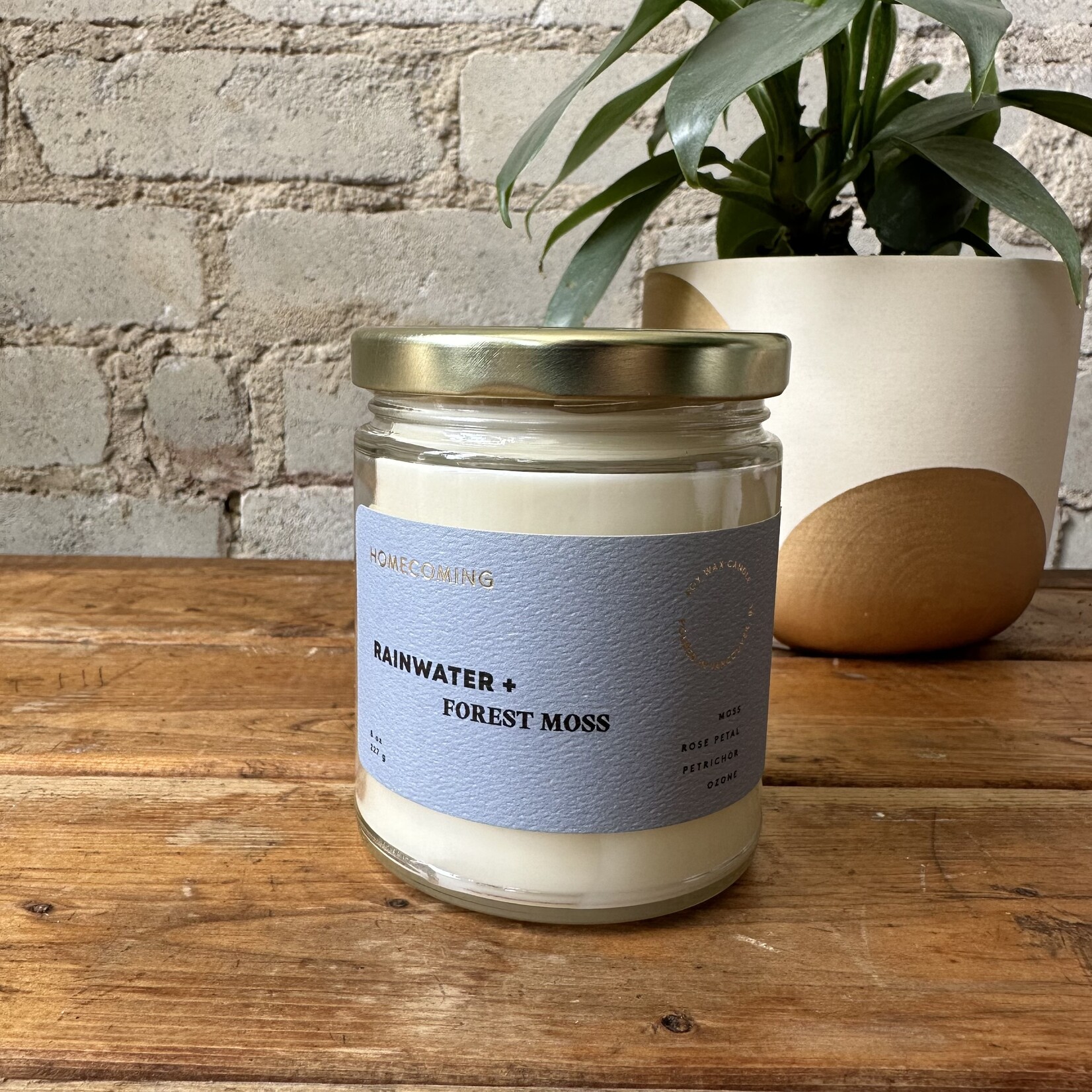 Homecoming Homecoming Candle 8 oz.  Rainwater + Forest Moss