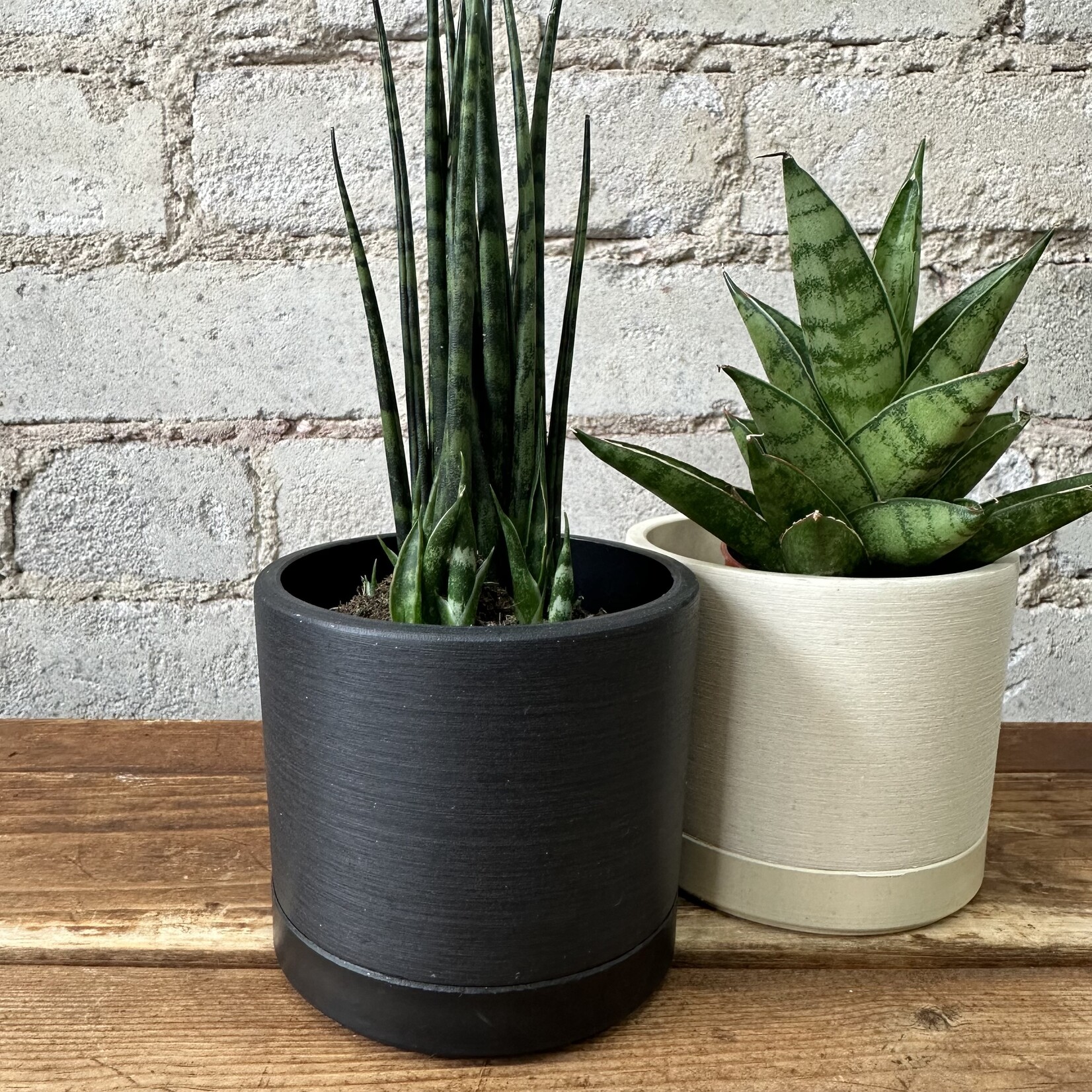 Kanso Upcycled Cylinder Pot (fits 3")