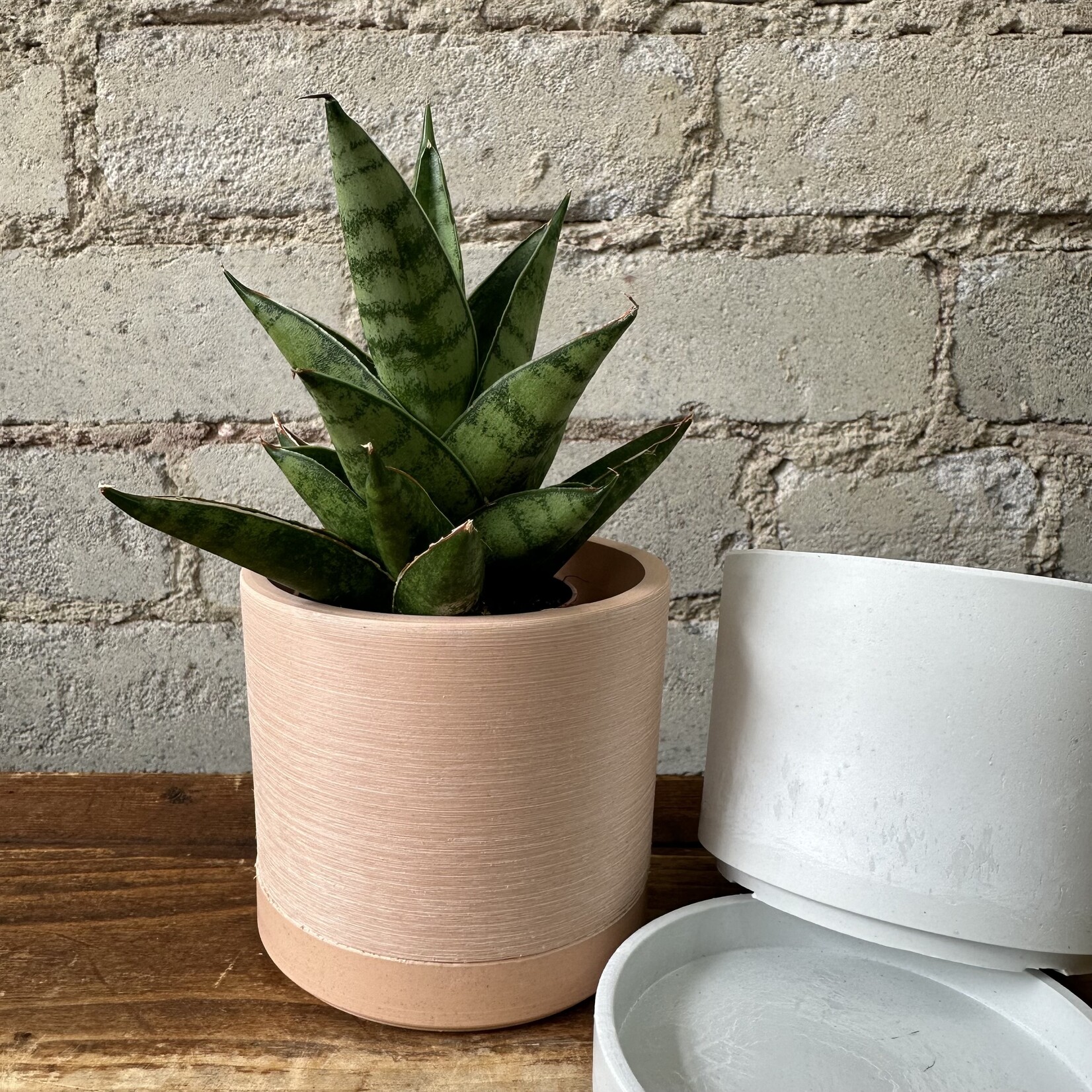 Kanso Upcycled Cylinder Pot (fits 3")