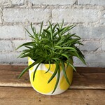 Vicky Makes Things Vicky Makes Ceramics Yellow Blob 5"