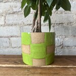 Nightshift Ceramics - Lime Checkerboard 5"