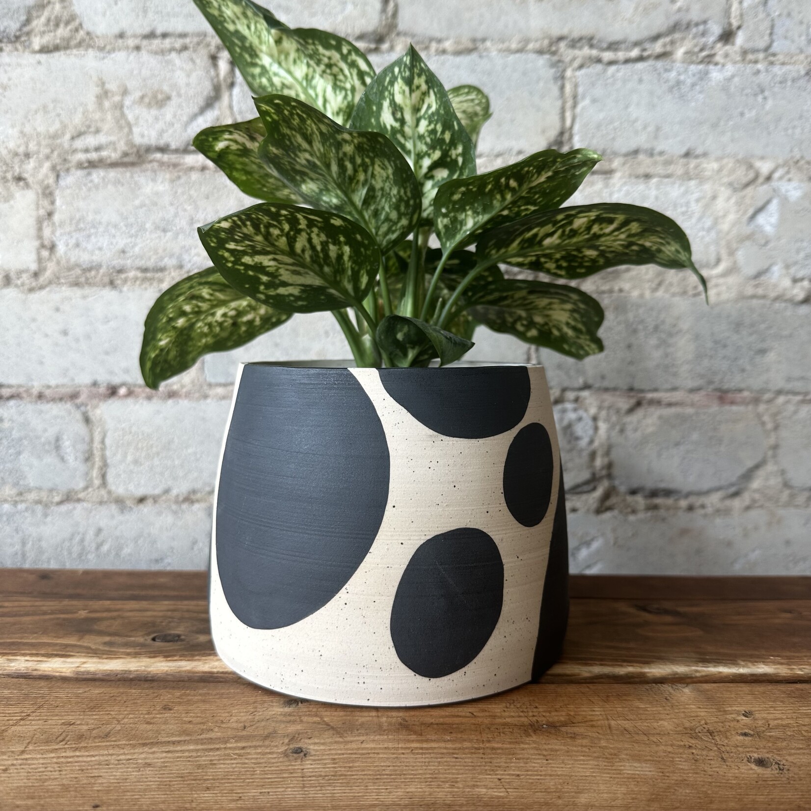 Vicky Makes Ceramics Black Blob 5"