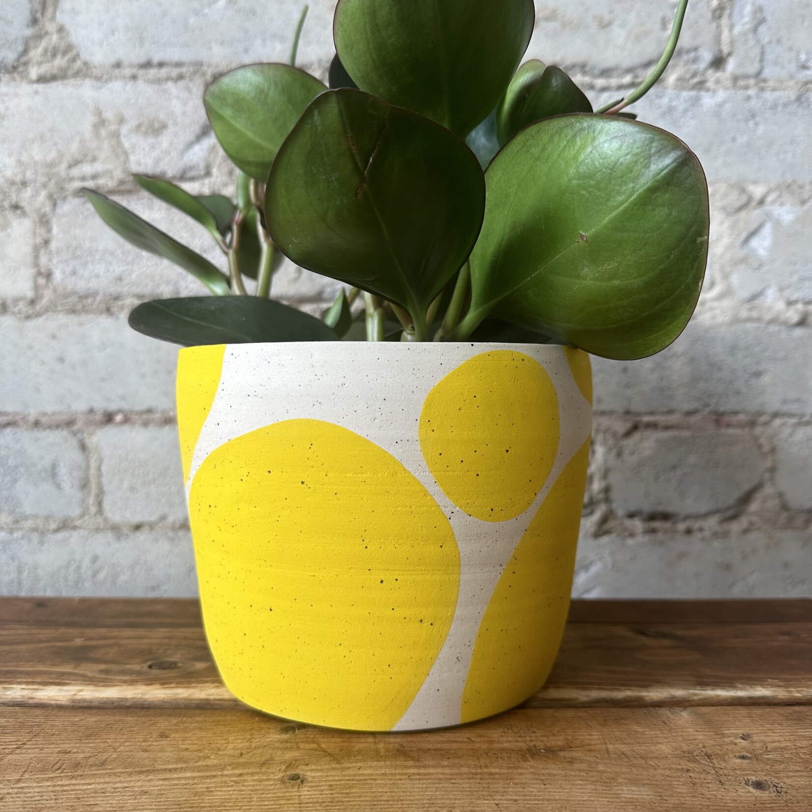 Vicky Makes Things Vicky Makes Ceramics Yellow Blob 6"
