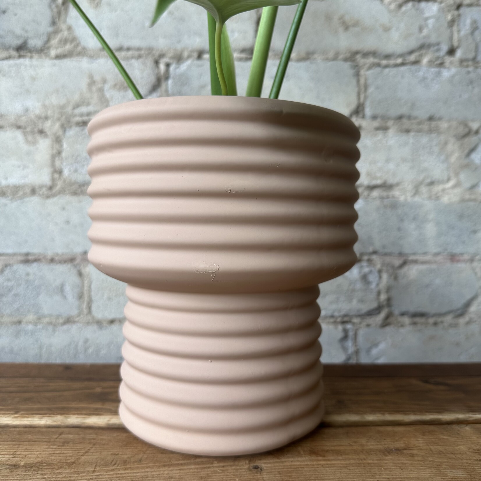 Assorted Pots Camille Nude Pot (fits 5.5")