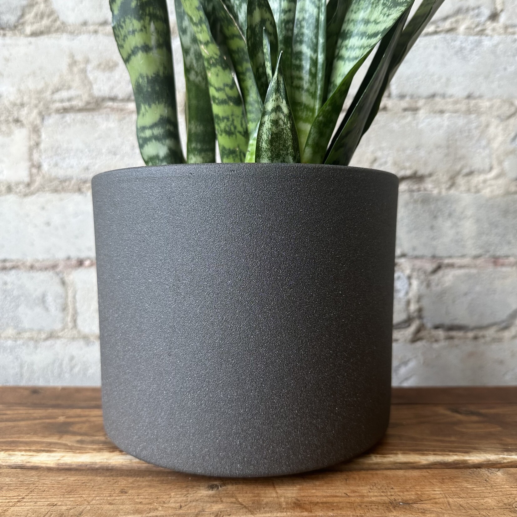 Era Pot (fits 6") Charcoal