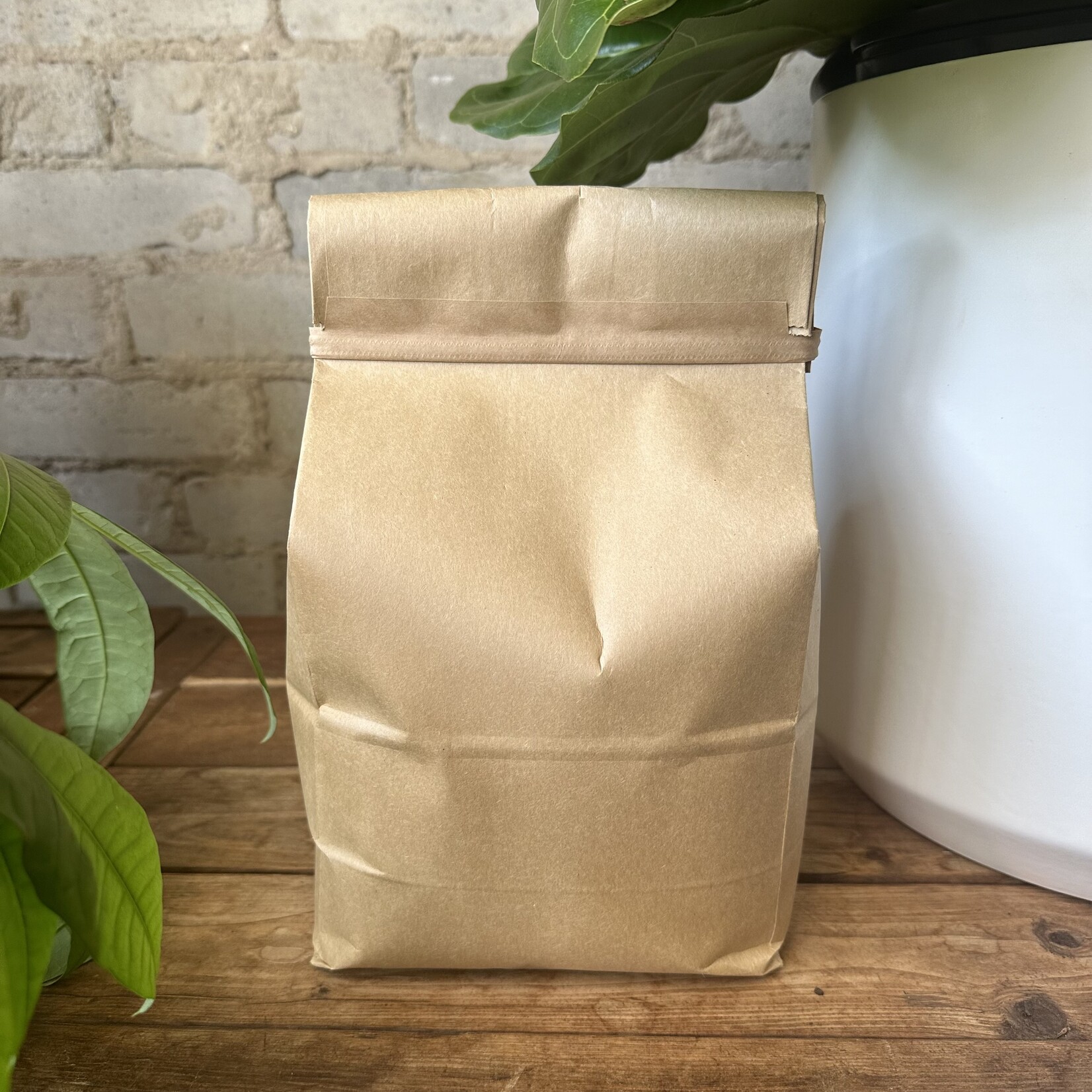 Premium Potting Soil (5L)