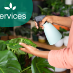 Our Services