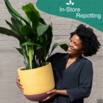 In-Store Repotting