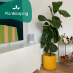 Plantscaping